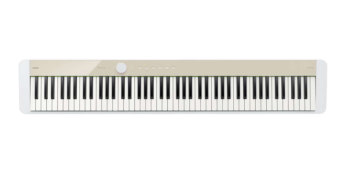 Piano portátil PX-S1100MB